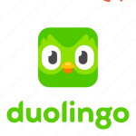 Tài Khoản Duolingo Super